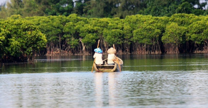 Dongzhai Harbour Mangrove Forest   东寨港红树林自然保护区