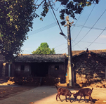 Sanqing Village, Haikou