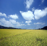 Beishan Village, Sanya