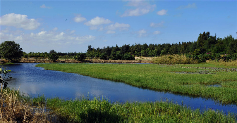 昌江海尾湿地公园酒店