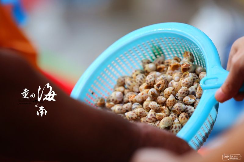 图片 (103).jpg