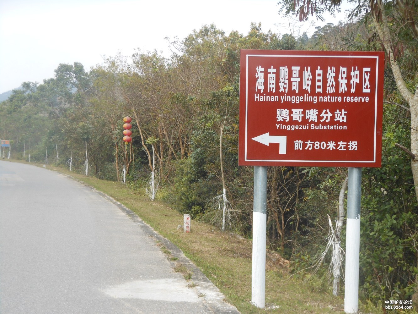 图片 (7).jpg