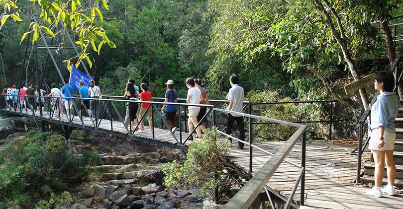 Explore Jianfeng Peak Rainforest Gully 尖峰岭雨林沟谷探险