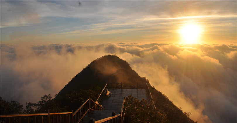 Explore Jianfeng Peak Rainforest Gully 尖峰岭雨林沟谷探险