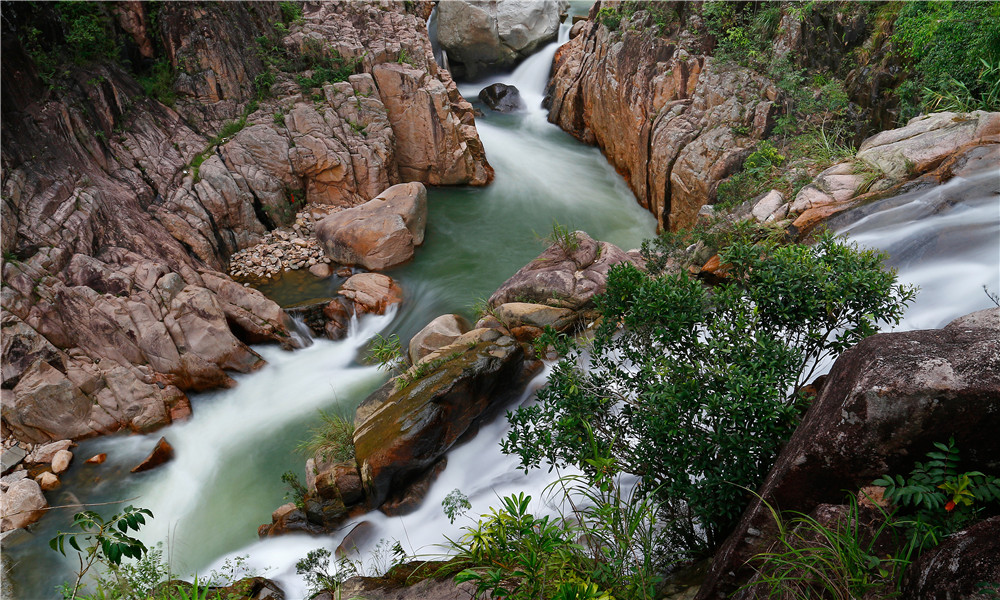 热带雨林风景区 (29)_副本.jpg