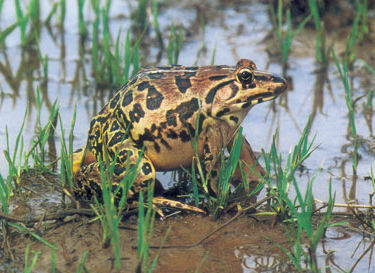 image035.jpg