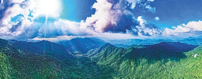 霸王岭国家森林公园